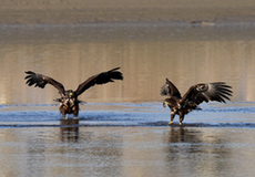 ??????????? ???????? ???? ??????? ??????? ?????? ????? ??????